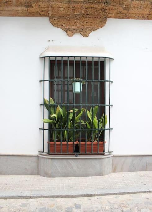 Fancy Apartment In A Historic House, Chiclana City Center By C. Dreams Chiclana de la Frontera Exterior foto